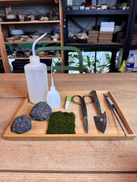 A Living Garden of Love — Mother’s Day Wabikusa Terrarium Workshop on 3rd May 2026 (10am - 11.30am)