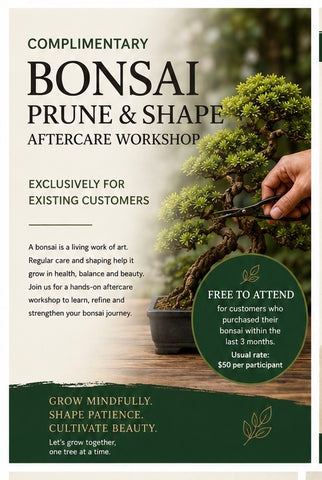 Complimentary Bonsai “Prune & Shape” Aftercare Workshop