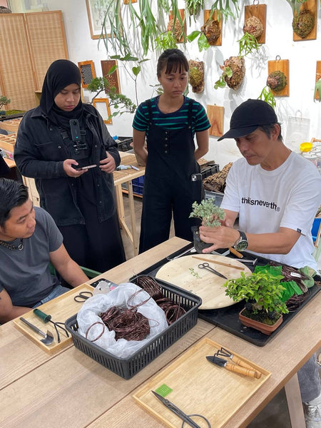 Mini Bonsai Appreciation Workshop (17th May 2024, Friday, 3.30pm-6pm)