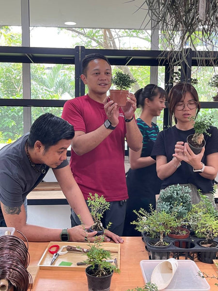 Mini Bonsai Appreciation Workshop (17th May 2024, Friday, 3.30pm-6pm)