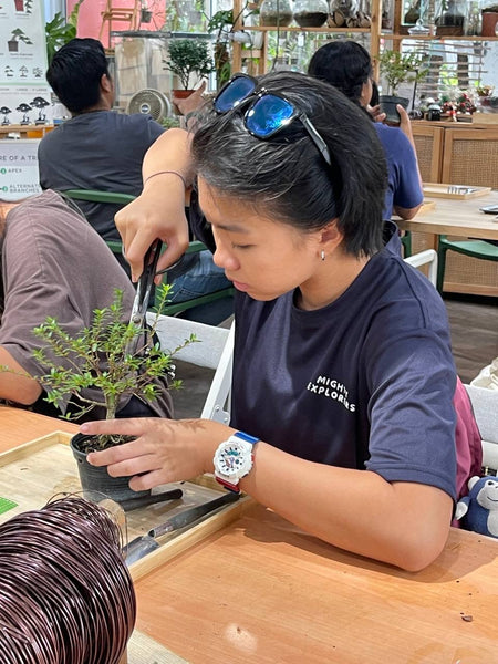 Mini Bonsai Appreciation Workshop (17th May 2024, Friday, 3.30pm-6pm)