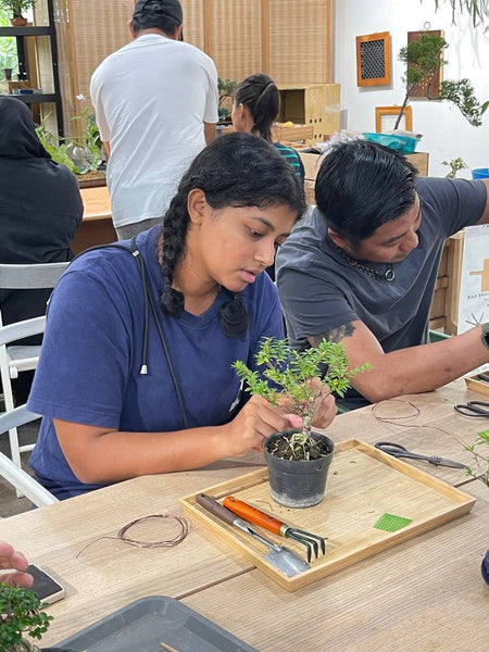 Mini Bonsai Appreciation Workshop (17th May 2024, Friday, 3.30pm-6pm)