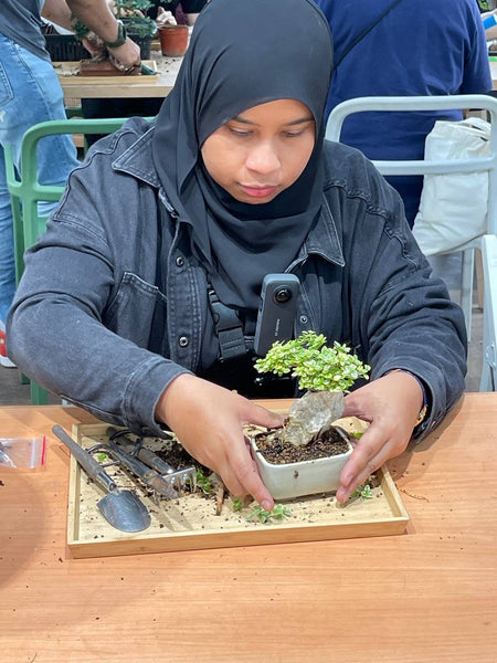 Chose your own date - Mini Bonsai Appreciation Workshop