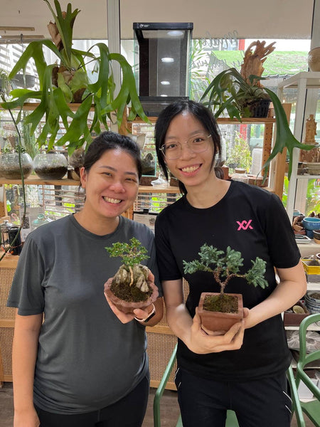 Mini Bonsai Appreciation Workshop (11 May 2025, Sunday, 3pm-5.30pm)