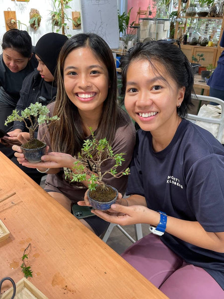 Mini Bonsai Appreciation Workshop (17th May 2024, Friday, 3.30pm-6pm)