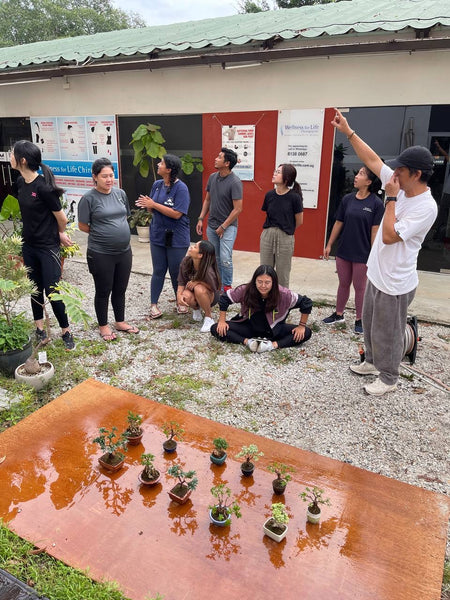 Mini Bonsai Appreciation Workshop (17th May 2024, Friday, 3.30pm-6pm)