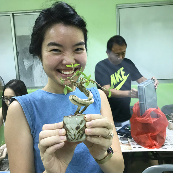 Chose your own date - Mini Bonsai Appreciation Workshop