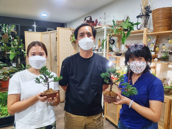 Chose your own date Shohin Bonsai (Shimpaku/Juniper/Black Pine) Workshop