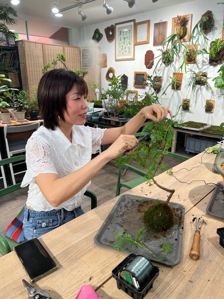 Signature Kokedama Workshop 13th September 2025 (Saturday 3pm-4.45pm)