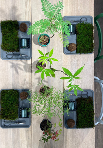 Signature Kokedama Workshop 13th September 2025 (Saturday 3pm-4.45pm)