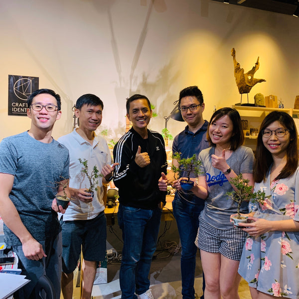 Mini Bonsai Appreciation Workshop (17th May 2024, Friday, 3.30pm-6pm)