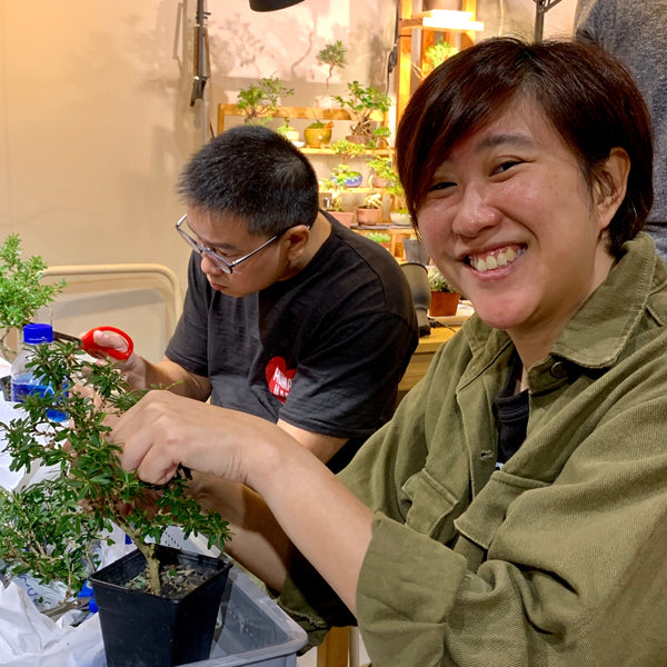 Mini Bonsai Appreciation Workshop (17th May 2024, Friday, 3.30pm-6pm)