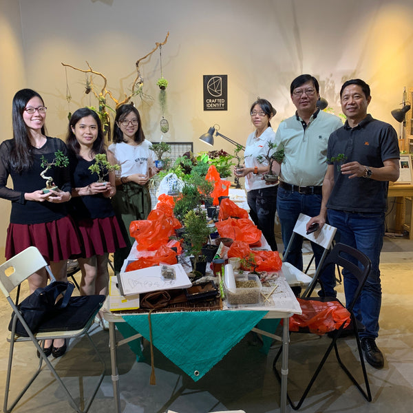 Mini Bonsai Appreciation Workshop (17th May 2024, Friday, 3.30pm-6pm)