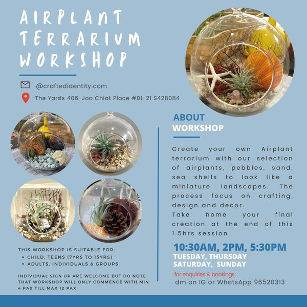 Kiddos Airplant Terrarium Workshop