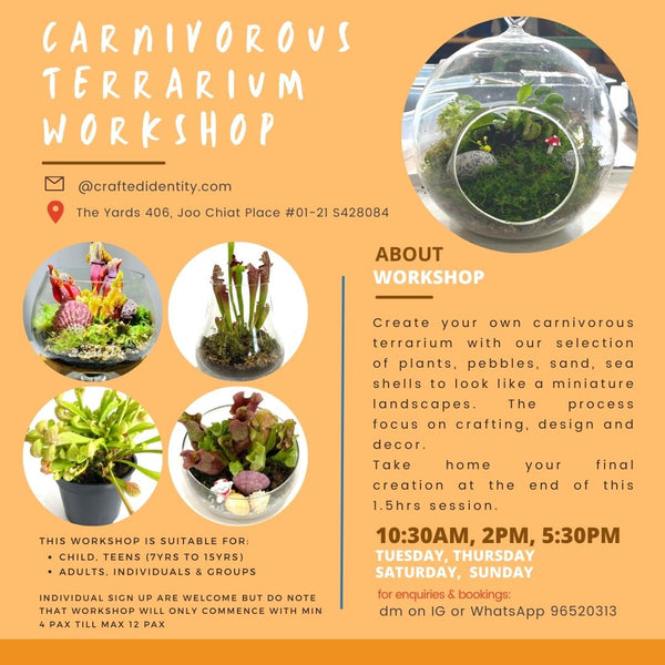 Carnivorous Terrarium Workshop