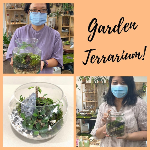 Garden Terrarium Workshop