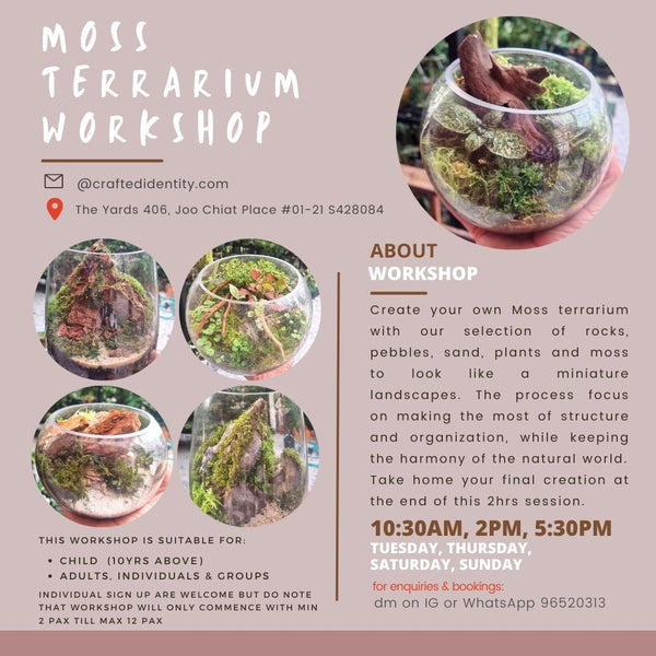 Moss Terrarium Workshop