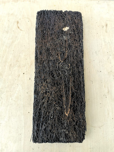 Fernbark - 40cmx15cmx3cm