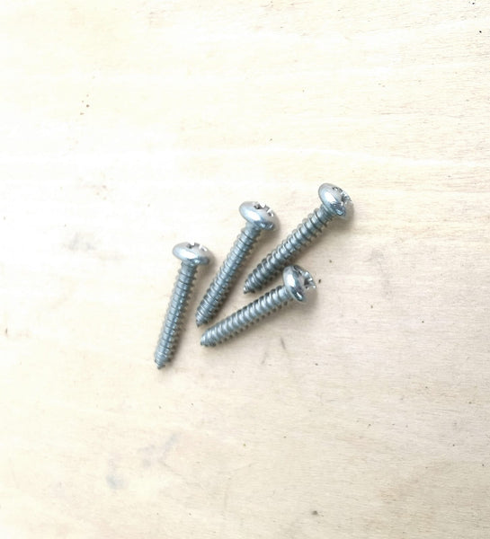 Stainless Steel Screws for Staghorn Mounting