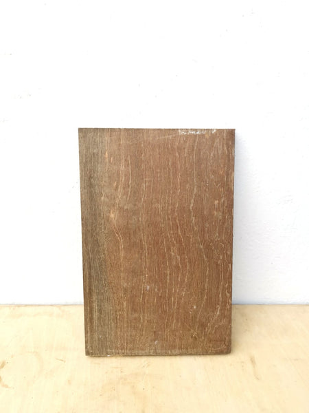 Outdoor Timber Wood for Staghorn Mounting 20cmx30cmx2cm