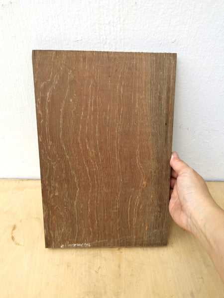 Outdoor Timber Wood for Staghorn Mounting 20cmx30cmx2cm