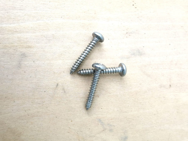 Stainless Steel Screws for Staghorn Mounting