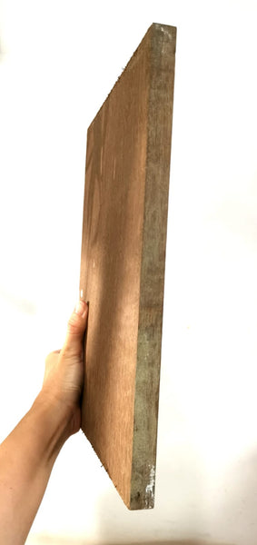Outdoor Timber Wood for Staghorn Mounting 20cmx30cmx2cm