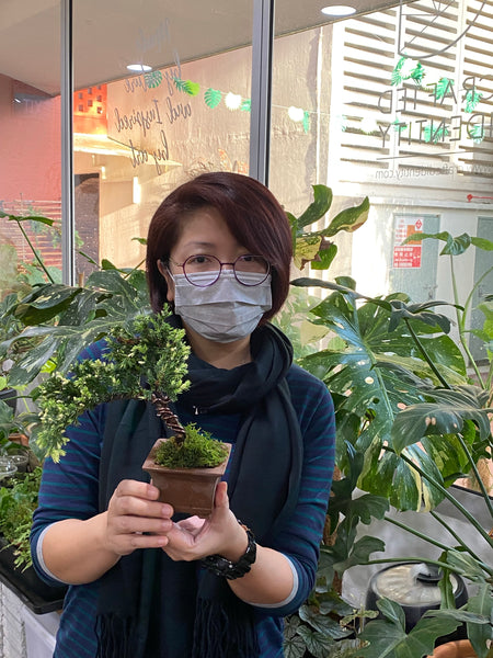 Bonsai (Juniper) Workshop