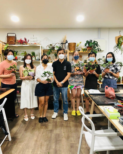 Bonsai (Juniper) Workshop