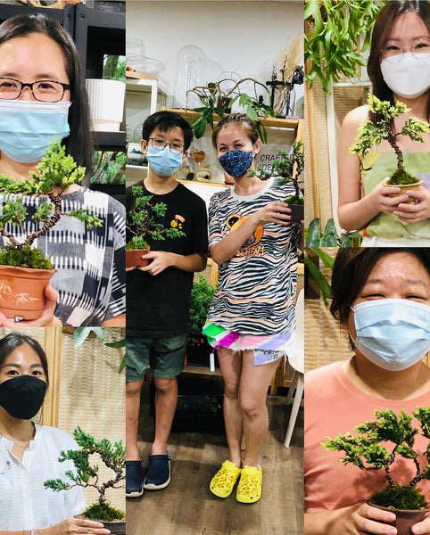 Bonsai (Juniper) Workshop