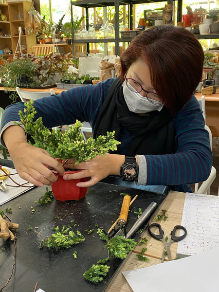 Bonsai (Juniper) Workshop
