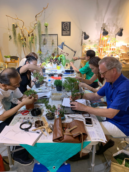 Bonsai (Juniper) Workshop